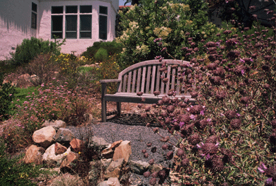 Southern California Chaparral with Manzanita